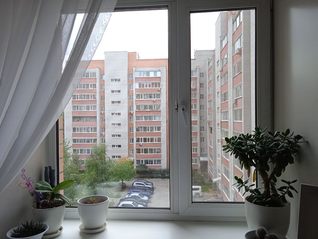 https://petrozavodsk.delaem-okna.ru/storage/app/uploads/public/63f/331/482/63f331482975f325093091.jpg