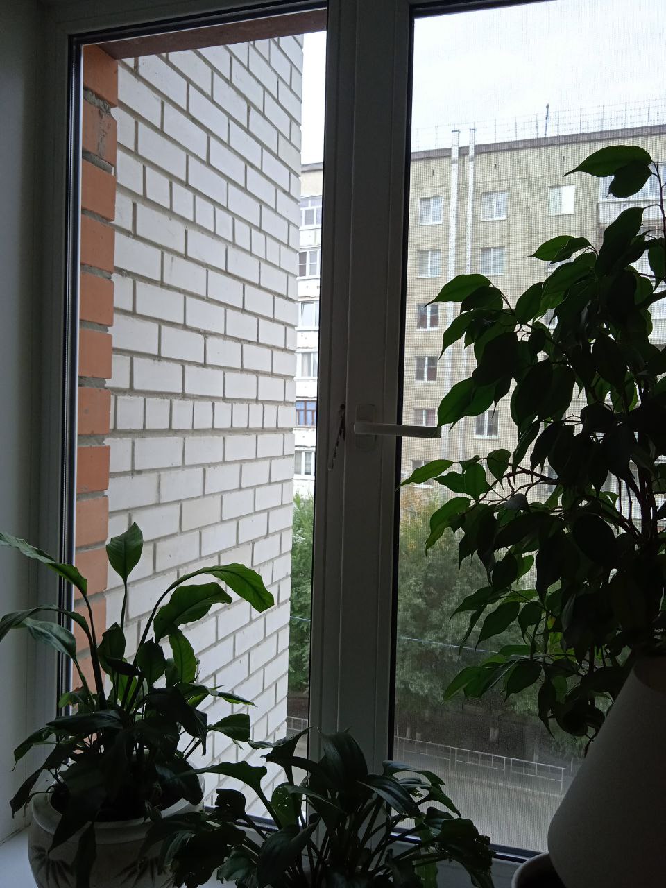 https://petrozavodsk.delaem-okna.ru/storage/app/uploads/public/63f/332/8c0/63f3328c0408d690824237.jpg