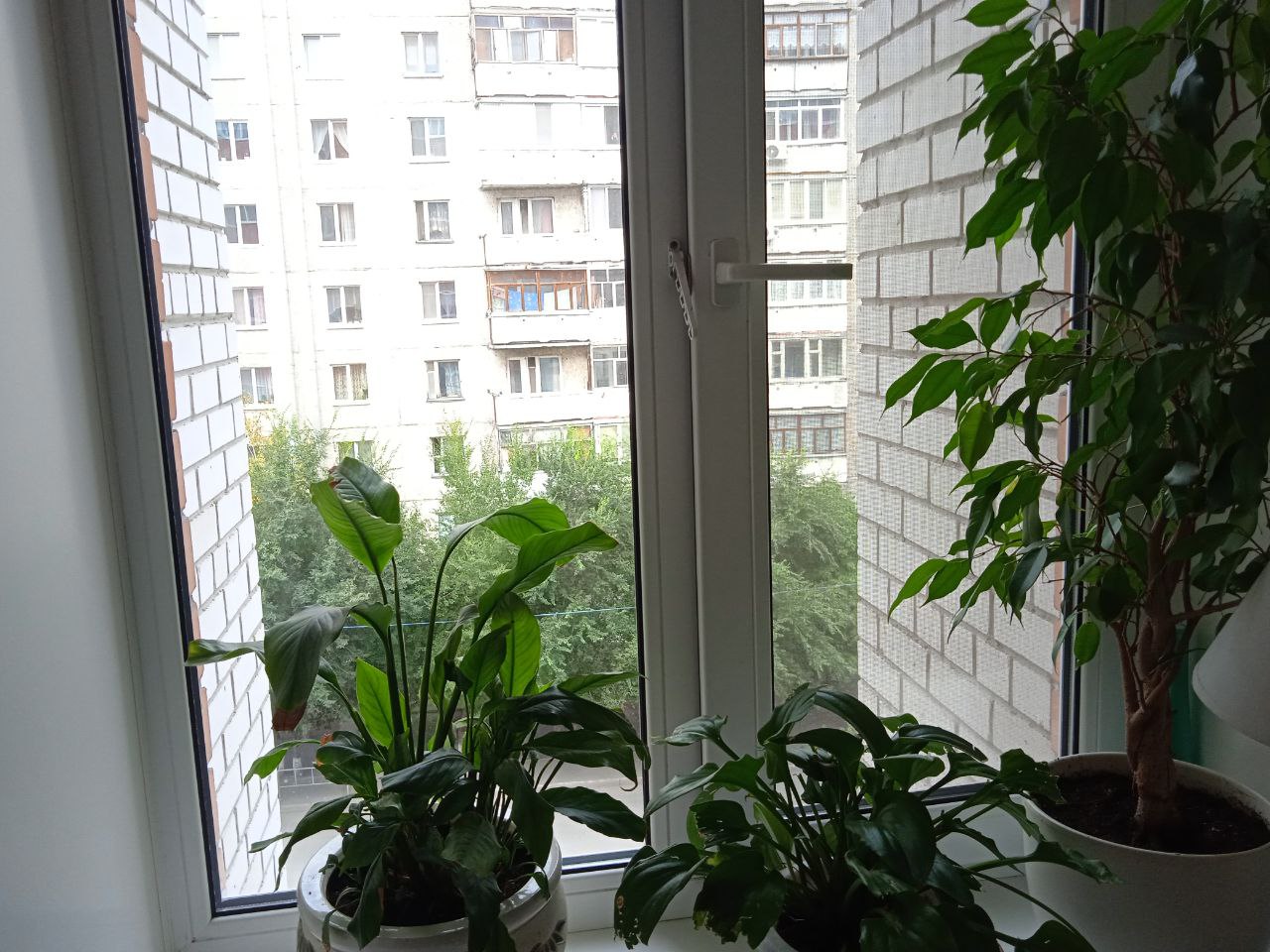 https://petrozavodsk.delaem-okna.ru/storage/app/uploads/public/63f/332/8c0/63f3328c0d6f7867060515.jpg